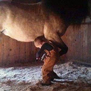 Meet your Posher, Jim